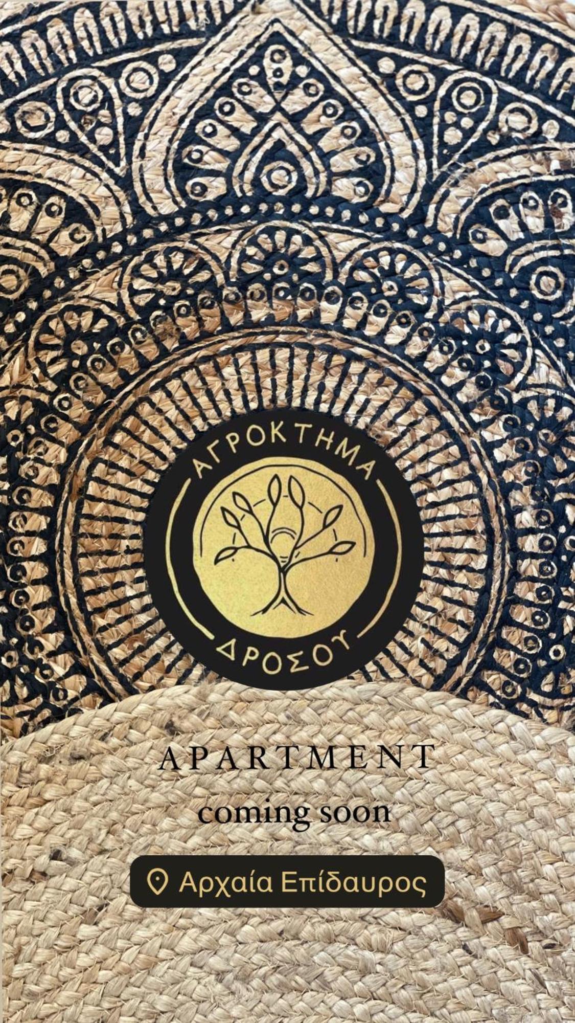 Agroktima Drosou Apartment Epidaurus 外观 照片